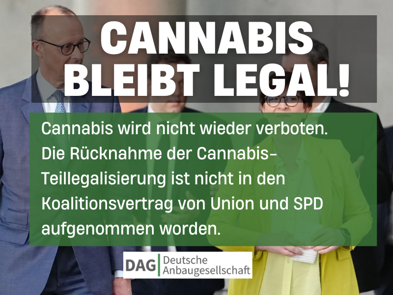 DAG_DECT's tweet photo. Cannabis bleibt legal – und das ist offiziell! 🎉 Keine Rücknahme der Legalisierung im Koalitionsvertrag.

#Weedmob #CanG #CanGbleibt https://t.co/TberXcjxdi