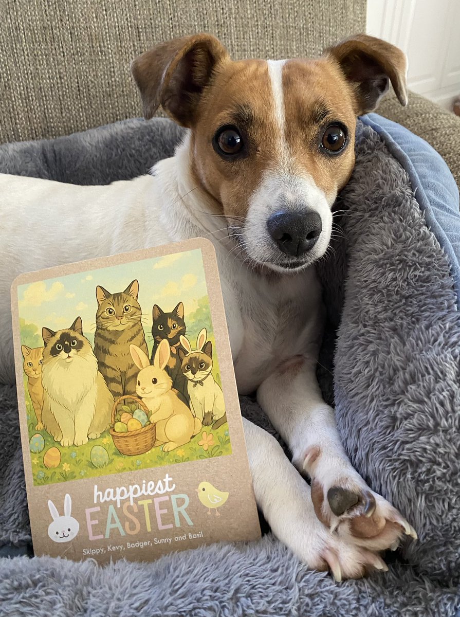BelleLBear's tweet image. #PupMail #EasterCard 🐣💌#Wednesdayvibe #dogsofX 🌼#dogs #dogsoftwitter #zshq  #BabyBea 🌸🌷🐣💒💙💚
Looky here! I’m wif 5 kitty frens on this Easter Card - Badger, Skippy, Kevy, Sunny &amp;amp; Basil @Andrea56822453! Thanks so much - we love you all! 🌼💒🐣