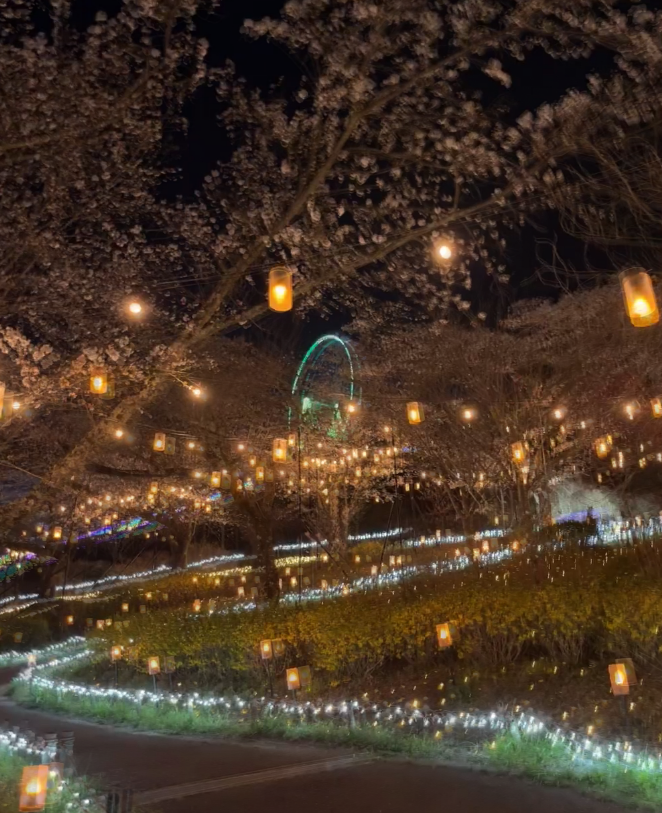 あやこ (@rodnesamora) on Twitter photo 