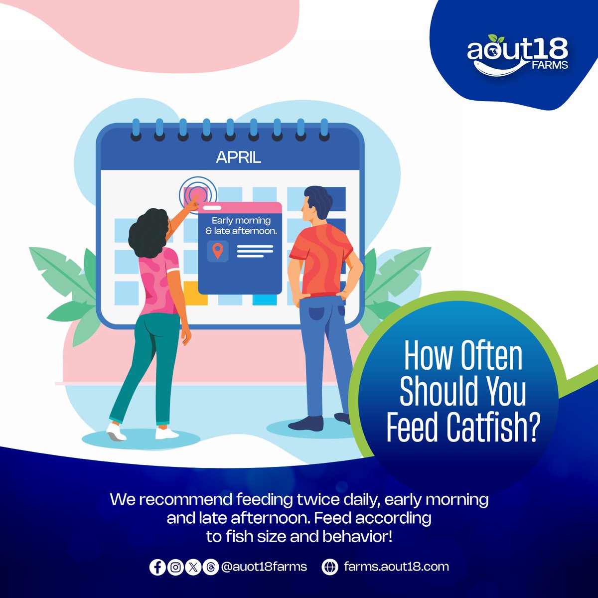 aout18farms's tweet image. 🐟 Overfeeding or underfeeding can affect your catfish yield. We recommend feeding twice daily—early morning and late afternoon. Feed according to fish size and behavior! 🐠💚 #FeedingTips #CatfishFarming #Aout18Farms