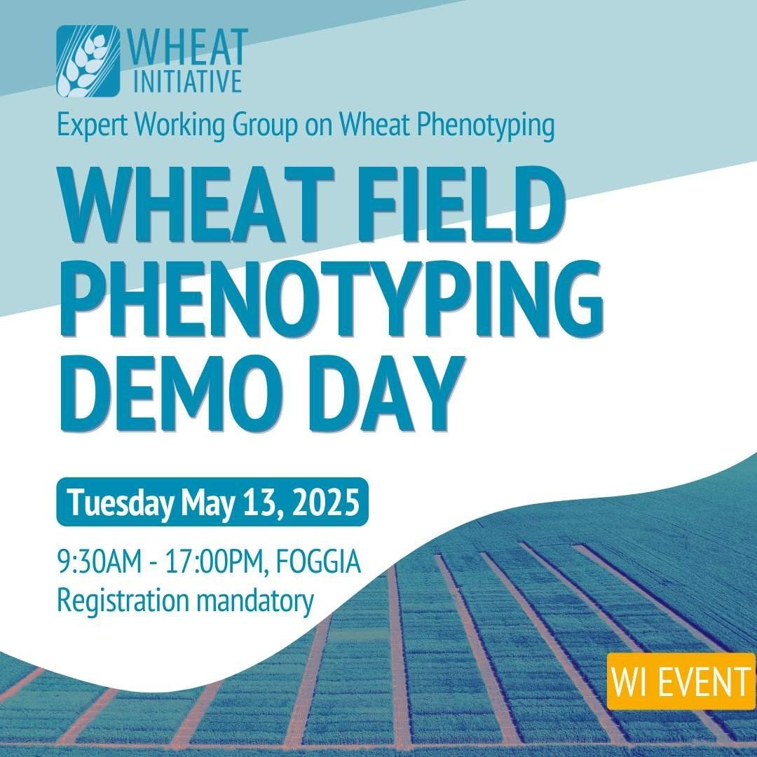 Wheat Initiative tweet media