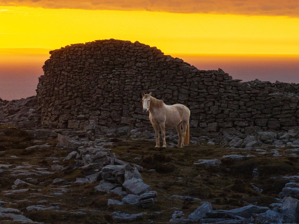 Fergography's tweet photo. The Burren https://t.co/5DUiMoWMsg