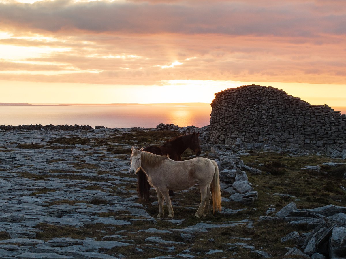 Fergography's tweet photo. The Burren https://t.co/5DUiMoWMsg