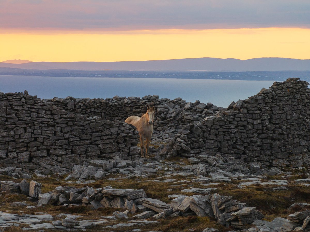 Fergography's tweet photo. The Burren https://t.co/5DUiMoWMsg