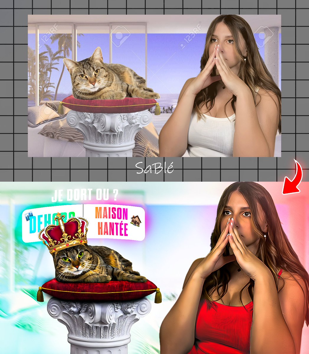 SaBleOSiTron's tweet photo. 😼 AVANT vs APRÈS 😼

Le chat est passé de Airbnb à Roi du Game 👑
RT 🔁 pour le level-up
FAV ❤️ si la miniature te parle !

ᴍɪɴɪᴀ ᴄᴏɴᴄᴇᴘᴛ ᴘᴏᴜʀ ﹕ @Kaatsup 

👇 La diff est trop REAL
#YouTube #Miniature #GlowUp #Design https://t.co/flHryfRYsW