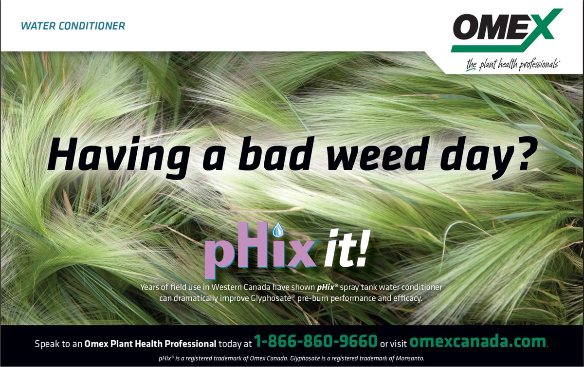 omexag's tweet photo. Having hard to kill weeds to deal with during your #Bunoff2025? Talk to your local #AgRetailer or DM your #OmexRep and have it #pHix'd. #OmexCanada #Plant25 #WestCdnAg https://t.co/I4goBiFqdJ