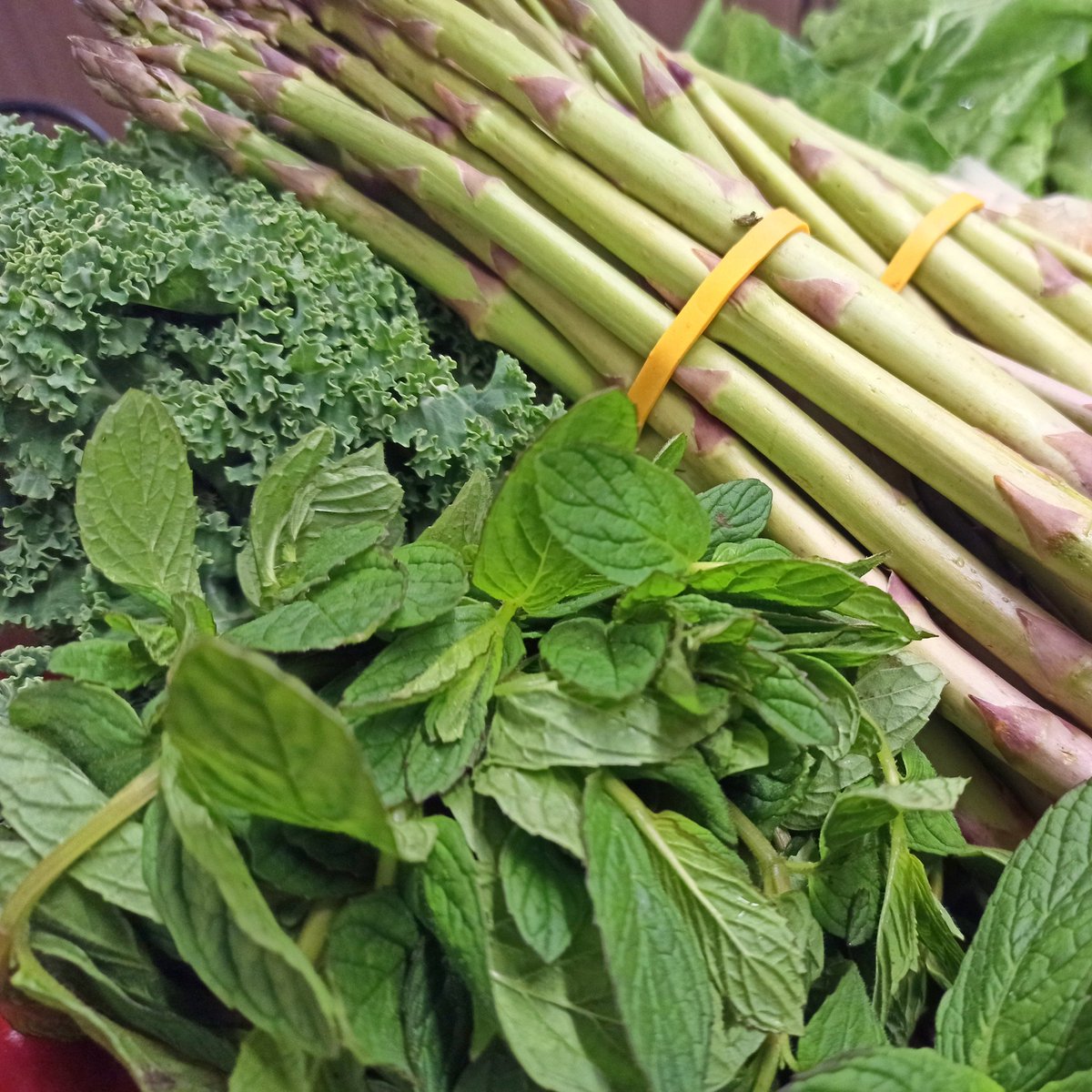 Tazecik sebzeler, meyveler, miss gibi yeşillikler kooperatifte 💚💙

#yerdenizkoop #kooperatif #kooperatifçilik #dayanışma #tazesebzemeyve #gıdahakkı #gıdaegemenliği #yaşamıbirlikteörgütlüyoruz