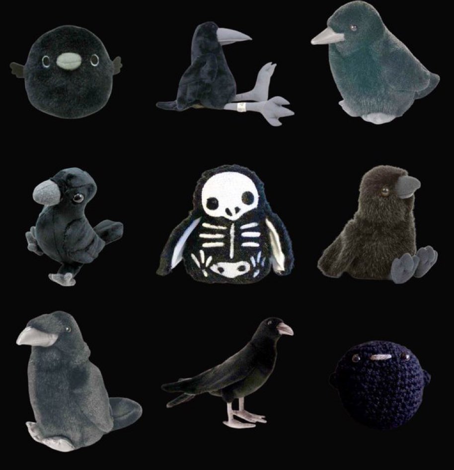 horrorsthetics's tweet photo. crow plushies 🐦‍⬛ https://t.co/JL2RcQxIMw