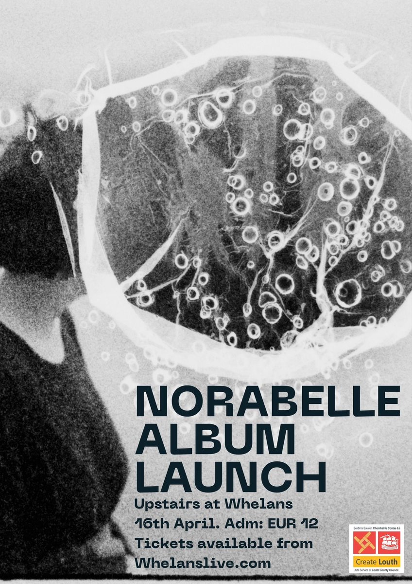 norabelle tweet media