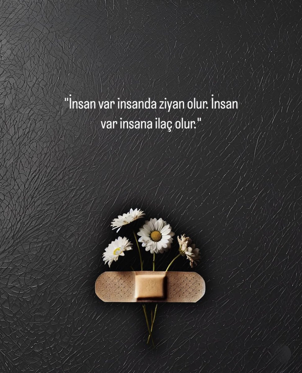 HASANCAN 🍁 (@hasancaneser0) on Twitter photo 