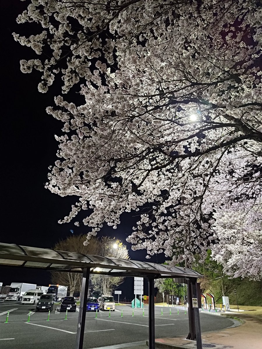 AnaKutsu's tweet photo. 談合坂SA https://t.co/xqUSiSiZ96