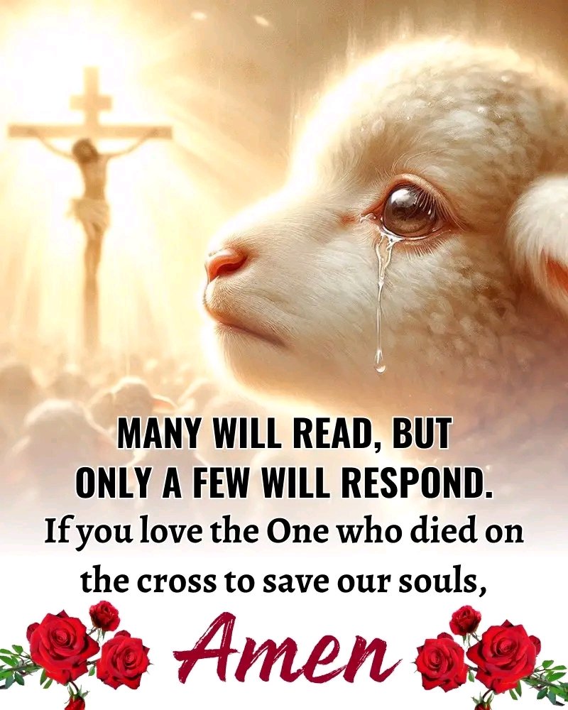 Holy Bible tweet media