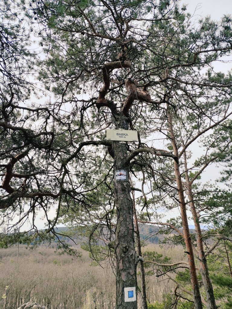 duchas93's tweet photo. Babka-Skalka-Hvíždinec-Korunka https://t.co/LptD18DTmN