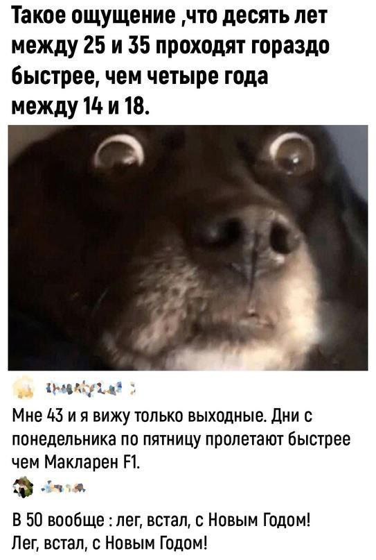 Пьяный Твиттер (@drunktwi) on Twitter photo 