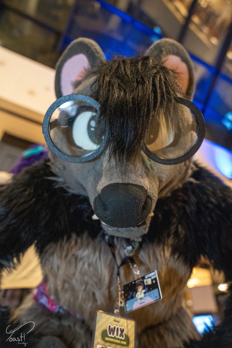 come see the skunk at furcationland this weekend. or don't. your call 🦨