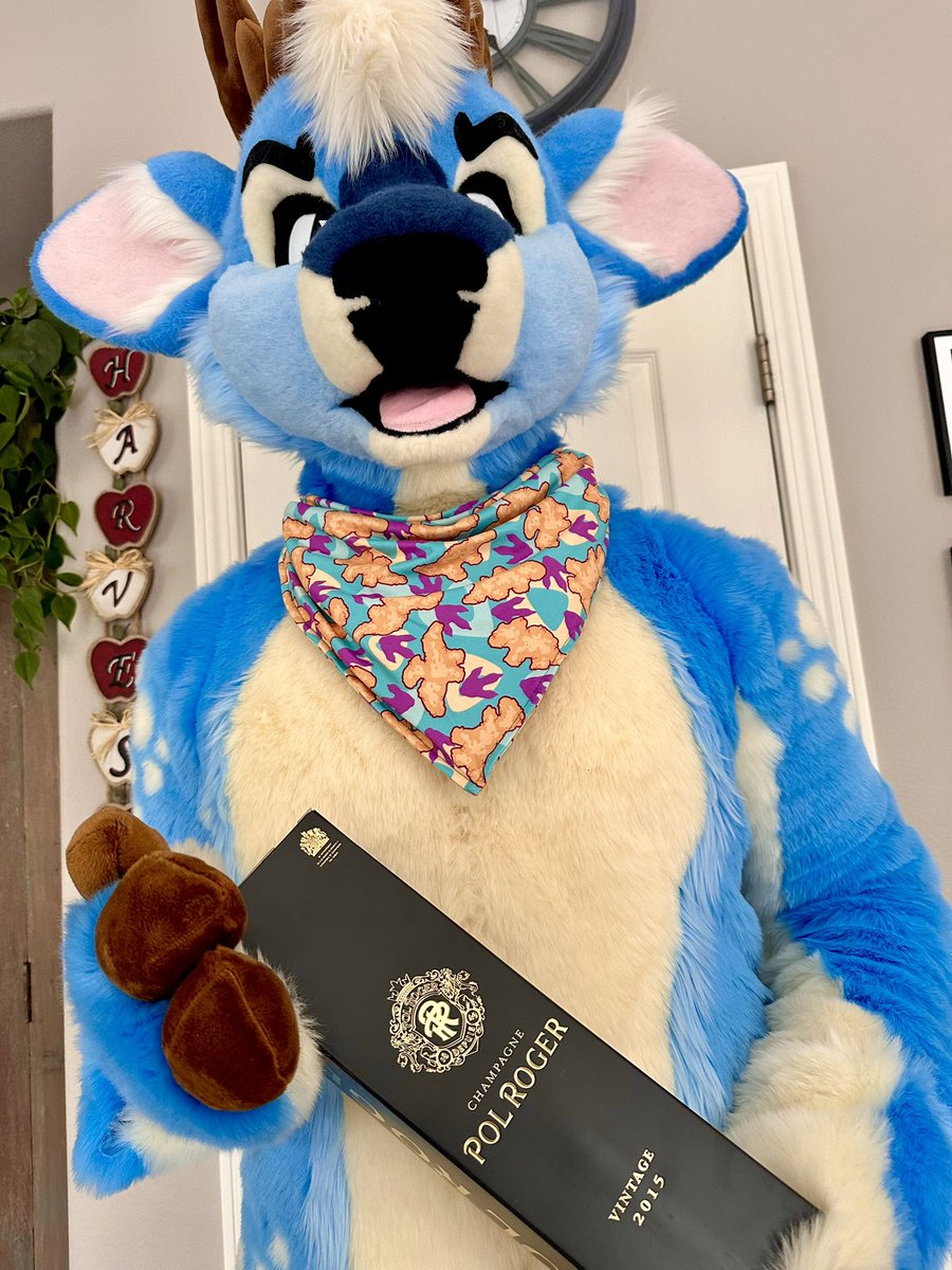 BLUEBERRY 🔜 MEGAPLEX tweet media