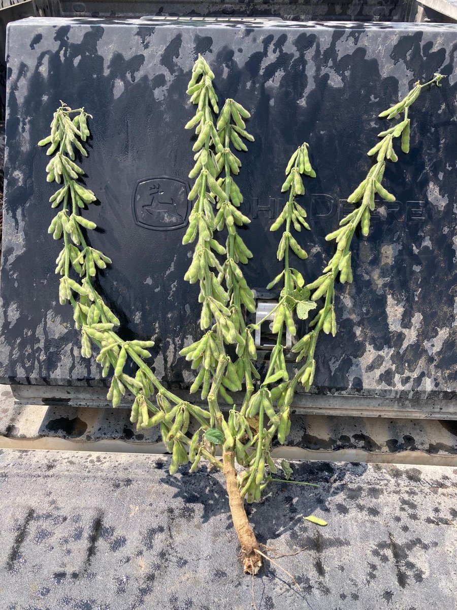 Calibrated Agronomy tweet media