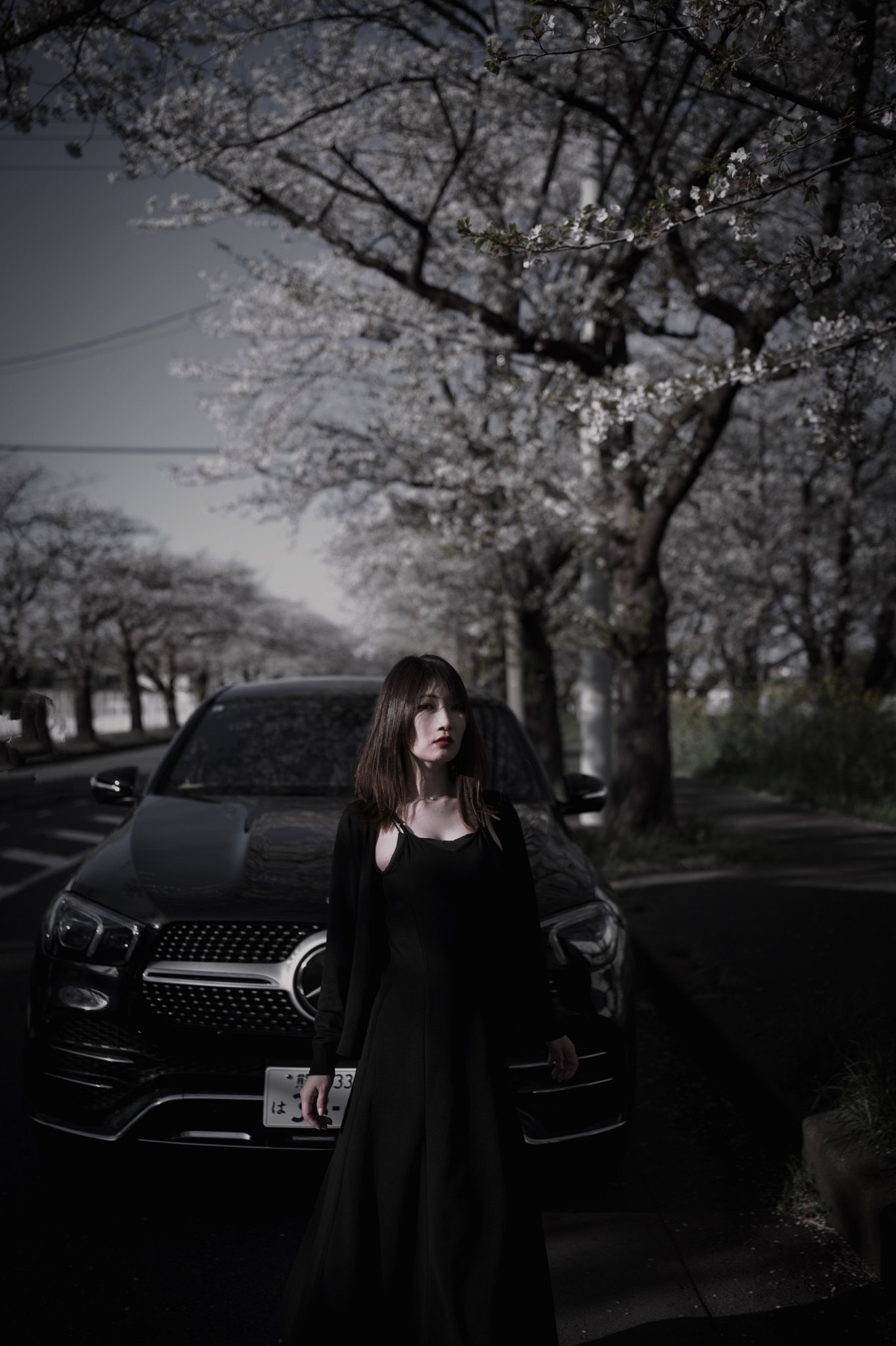 photographer 戮 戮撮 on X: 