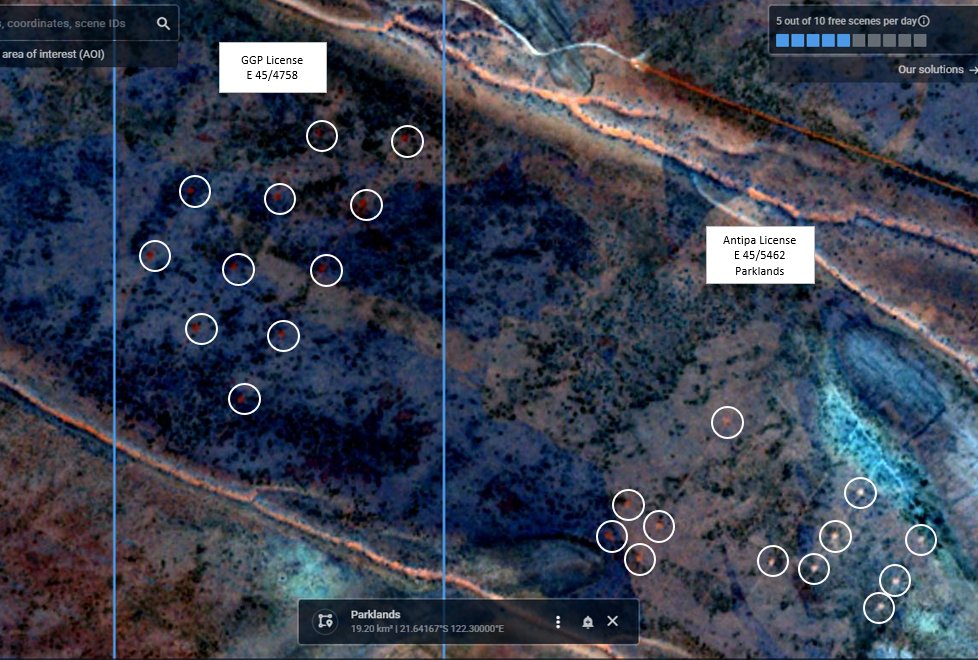 paddygall tweet media