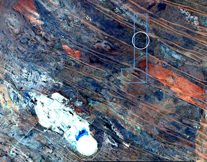 paddygall tweet media