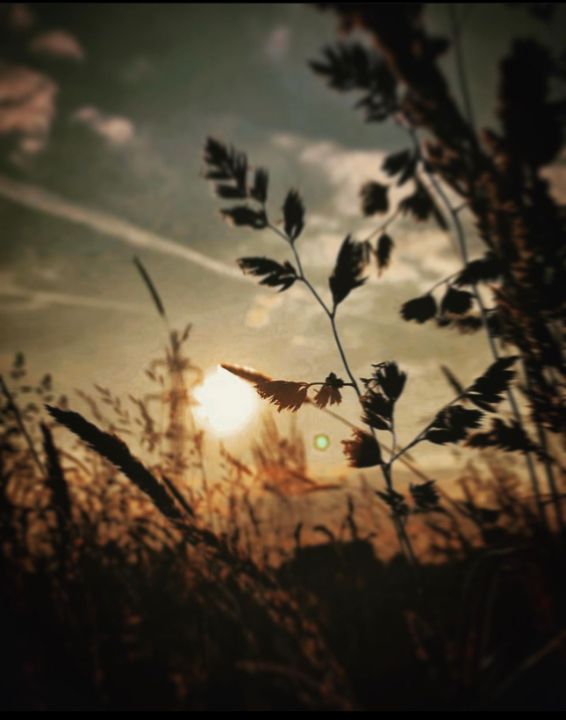 Art of the Day: "Here comes the sun~". Buy at: ArtPal.com/Jupiter_Nyx?i=…