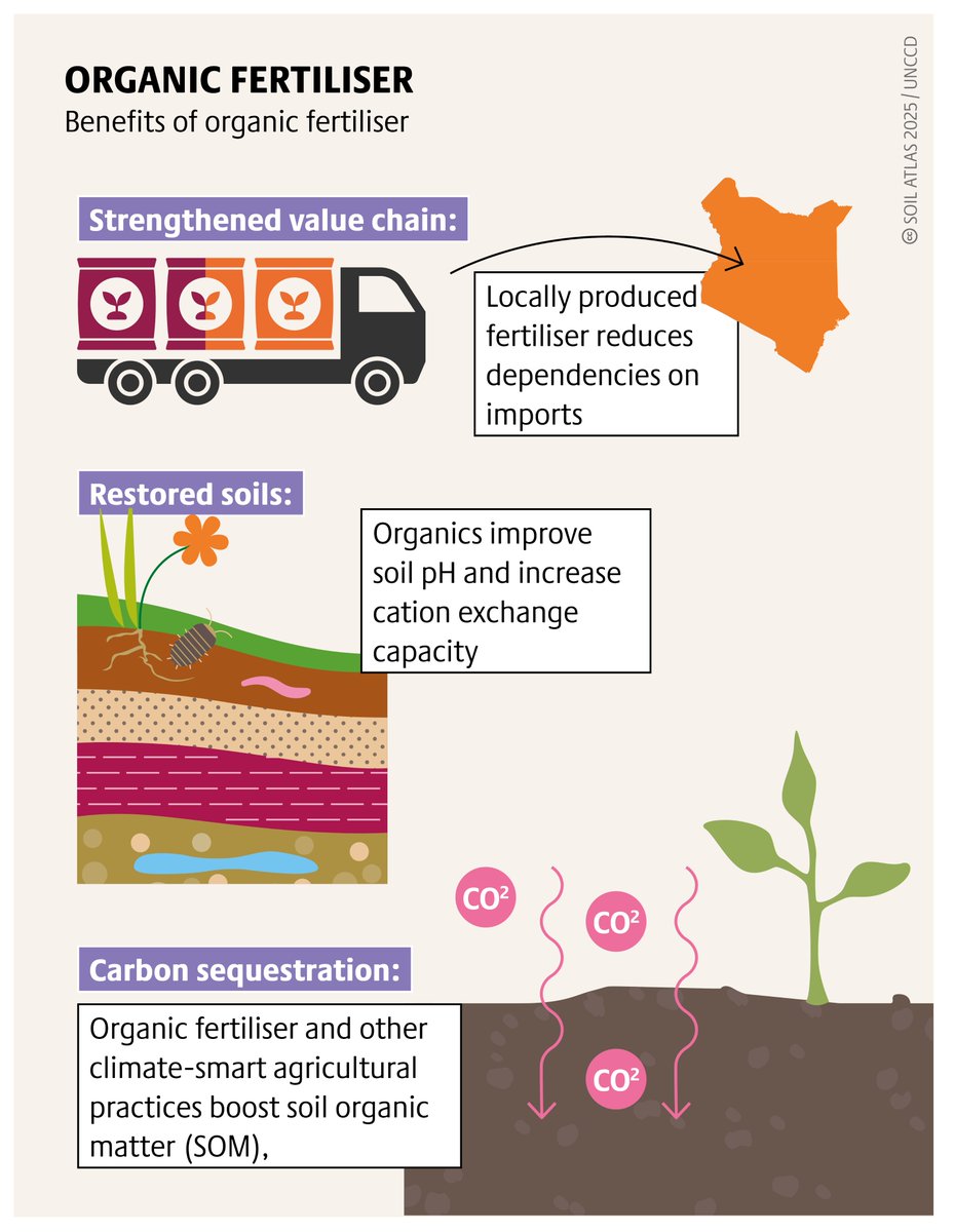 HBSNairobi's tweet photo. Kenyan farmers are leading the soil revolution —
From #biofertilisers to composting to #agroforestry.
But without strong policy & financial backing,
these solutions stay futile. Read more on how we can break free from synthetic dependency.
#SoilAtlasKE
https://t.co/FL7541r0jb https://t.co/ZglrqV4BmX