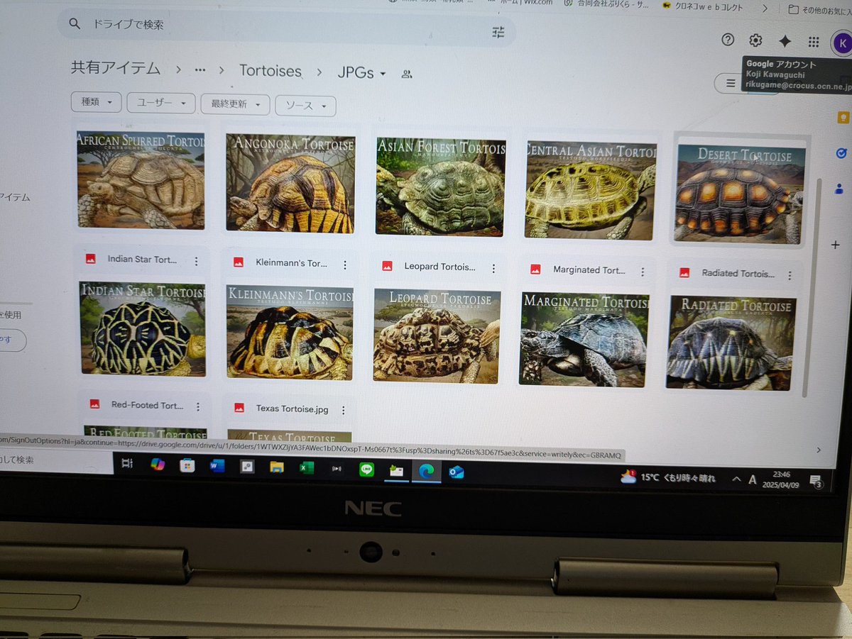 bronzegecko's tweet photo. RogerHall氏の新作アイテム用イラスト
どれが良いですかねぇ
#RogerHall https://t.co/vsrWcihO5M