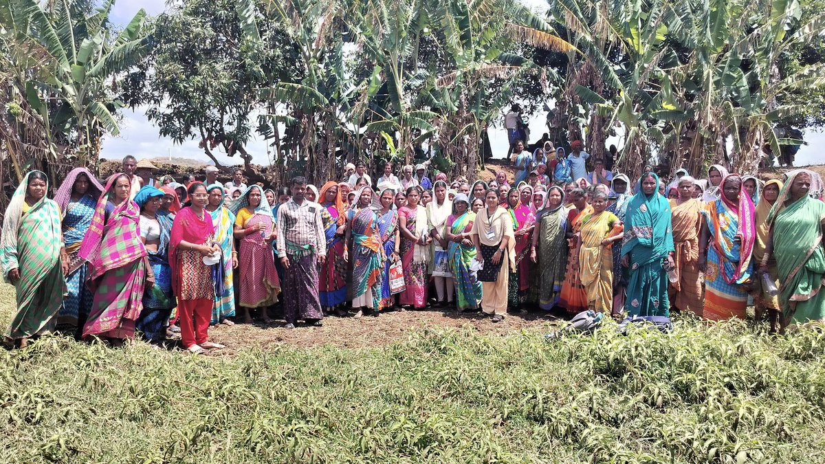 MMargadarshi's tweet image. Awareness on Women and Gorls issues for adivasi women 

#womensissues #womensrights #girlsdevelopment #humanrights #equalwages #mahilamargadarshi #tribaldevelopment #adivasi #azimpremjifoundation #srikakulam #india