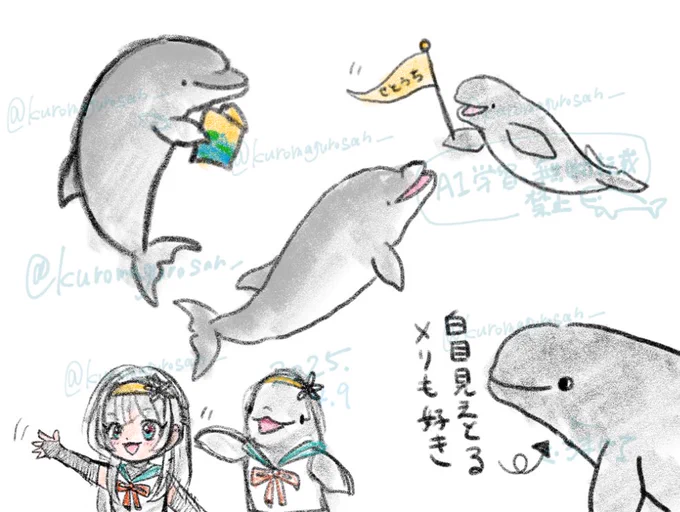 本日の落描きです🐬 