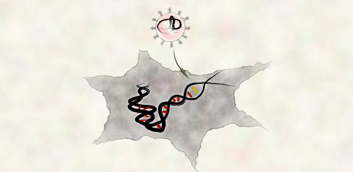 Dong-Jiunn Jeffery Truong (@earthnut89) on Twitter photo doi.org/10.1016/j.cell…
ENVLPE, our system for VLP-based delivery of gene editors, is now published in <a href="/CellCellPress/">Cell</a>. We showed efficient delivery of base- and prime-editors in primary T cells & in vivo retinal models.
Congrats co-first-authors <a href="/geilinho/">Julian Geilenkeuser</a> & <a href="/niggles293T/">Niklas Armbrust</a>! doi.org/10.1016/j.cell…
ENVLPE, our system for VLP-based delivery of gene editors, is now published in <a href="/CellCellPress/">Cell</a>. We showed efficient delivery of base- and prime-editors in primary T cells & in vivo retinal models.
Congrats co-first-authors <a href="/geilinho/">Julian Geilenkeuser</a> & <a href="/niggles293T/">Niklas Armbrust</a>!