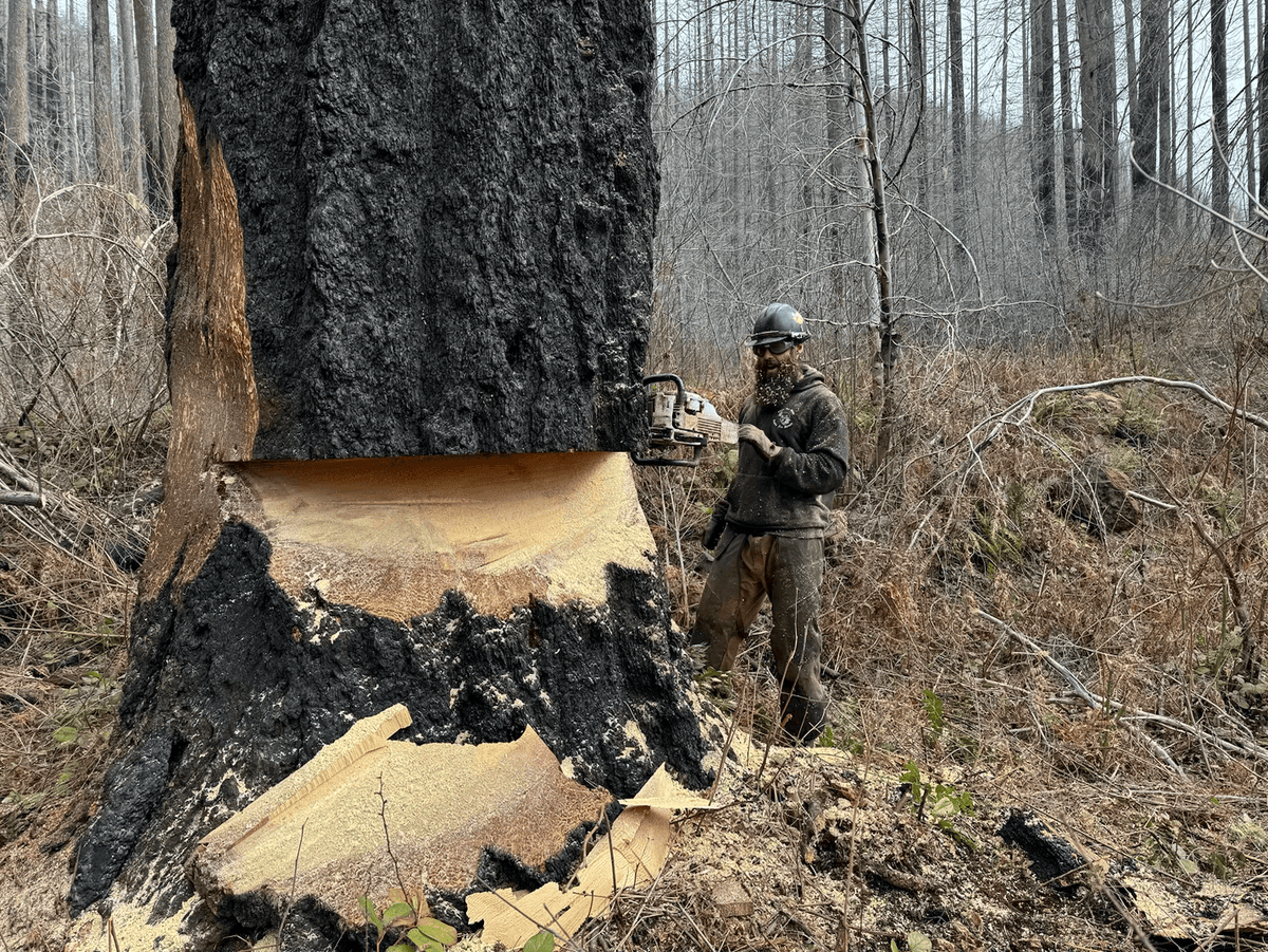 BLMFire's tweet photo. Episode 34 of the @BLM_National Wildfire Matters podcast is now LIVE! 🔥Chena Hotshots Galen Milchman and Emily Evans join us to discuss what it's like to be a hotshot in the Last Frontier working for @BLMAlaska.
🎧 Listen here 👉 https://t.co/eZhmkZjHAM https://t.co/ZpR4XXkVeg