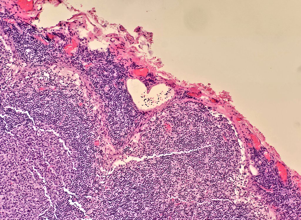 Ending the day with this 
#PathArt