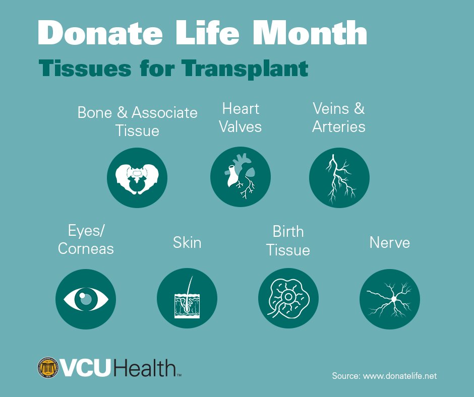 Of the more than 100K people on the national transplant waiting list, 2,400 are Virginians. This National #DonateLife Month, we encourage you to register to be a donor. One tissue donor can enhance the lives of 75+ people! Sign up/ check your status ➡️ bit.ly/3FMeG3p