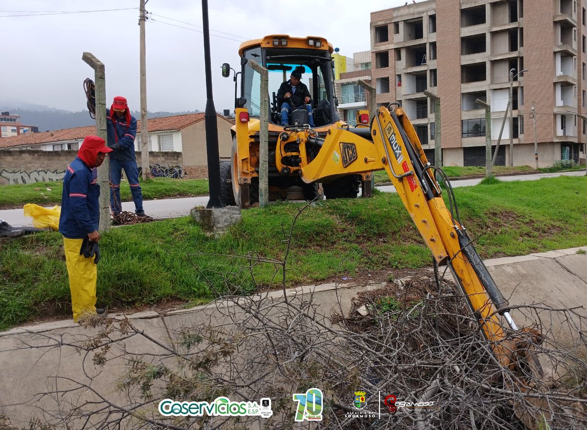 CoserviciosSA's tweet photo. #Hoy realizamos labores de limpieza, retiro de escombros, árboles secos, caída de un árbol que ocasionaba riesgo en la Cra. 20 con Tran. 20, puente ubicado en este sector. 🧹🌳
Realizamos  mitigación de los riesgos que dejan las fuertes lluvias 🌍😊 #CiudaddelSolPueblodeAcero https://t.co/mb0g2nAxpB
