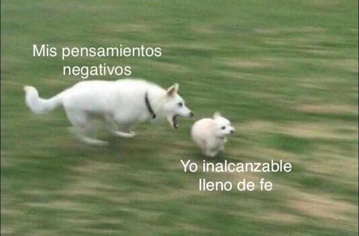 okkkvale 👍 (@okkkvale) on Twitter photo 