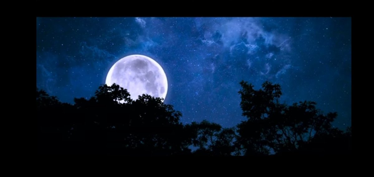 JOYROY1733048's tweet photo. Good night https://t.co/1cu2jwI1vF
