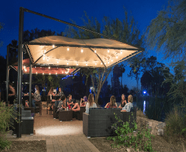 This Friday: Celebrate CASA! - mailchi.mp/8800ea708ddd/w…