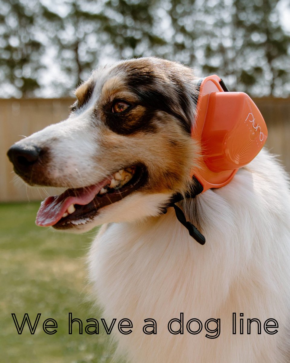 Did you know your furry friend can benefit from some cozy ear protection too? Just like us, our dogs can be sensitive to loud noises, whether it's a thunderstorm, fireworks, or a busy street. That’s why we’re thrilled to introduce our adorable PuroPup!

l8r.it/FFNG