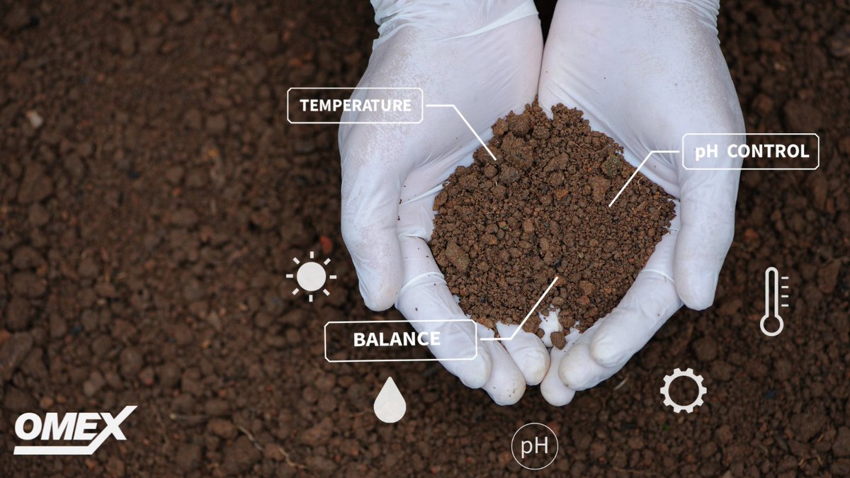OmexCanada's tweet photo. Curious about how soil testing + PRIMER can boost your crop yield? 🌱
https://t.co/O1yMcfrBDO
This blog dives into the ROI of soil tests + the use of OMEX PRIMERS, and why it’s a game-changer for farmers. Check it out. 🚜
#OMEXPrimer #CdnAg #Strongerstartfasterfinish https://t.co/KmfslbkG5Y