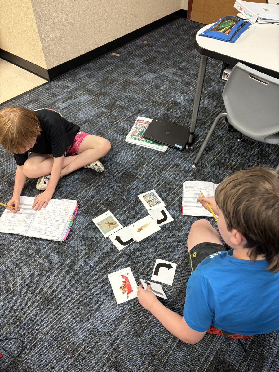 Kelley Cushenbery tweet media