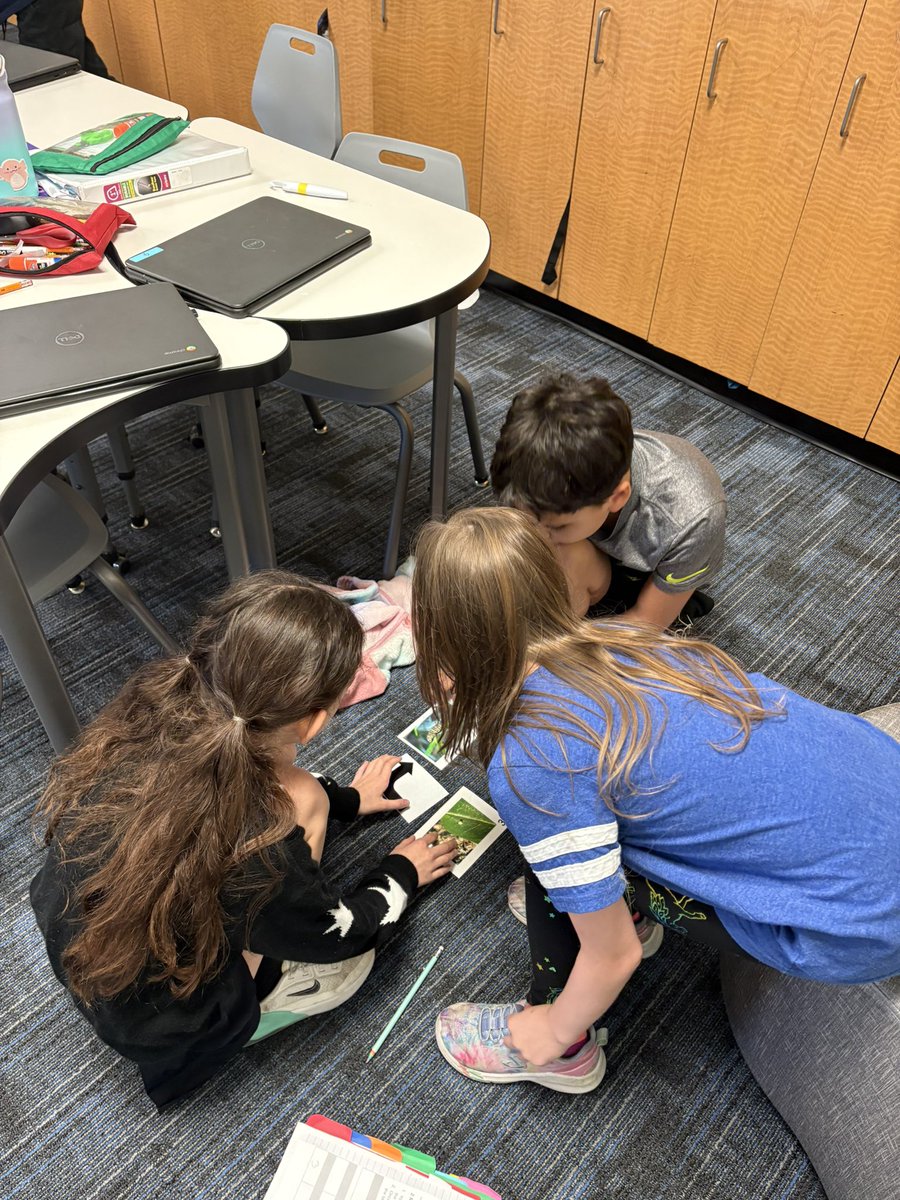 Kelley Cushenbery tweet media