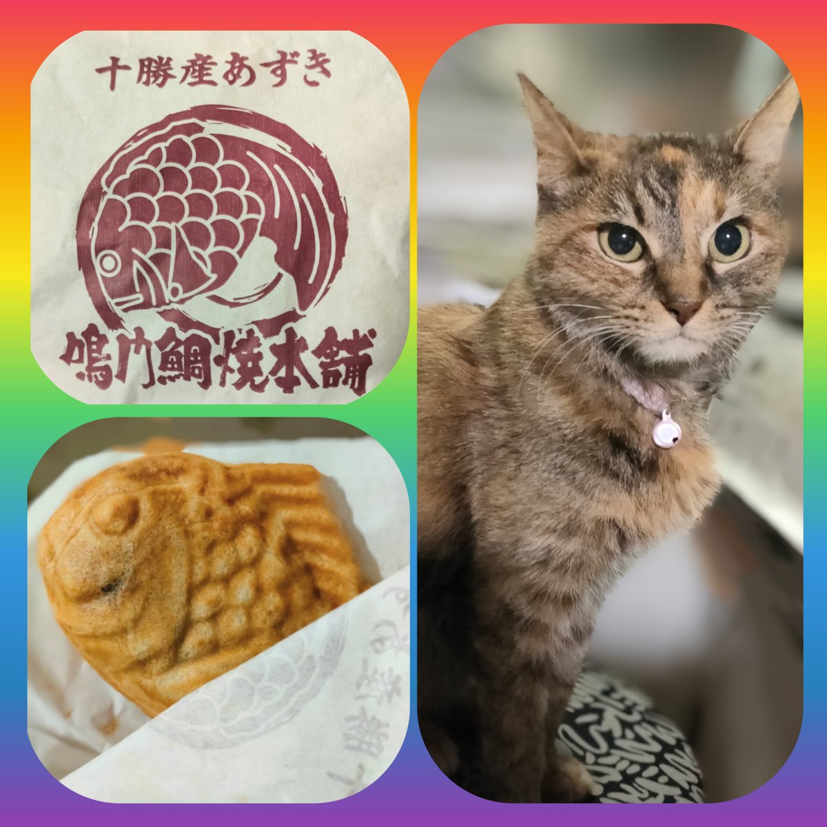 akipapamoon's tweet photo. 今日の夜おやつ🍪☕️💕
鳴門鯛焼本舗の鯛焼き🐟
私はあずきでママは金時芋‼️
それを見ているののさん🐱
#鳴門鯛焼本舗
#あずきたい焼金時芋たい焼
#ペット部乙 https://t.co/pXdp9rXjqk