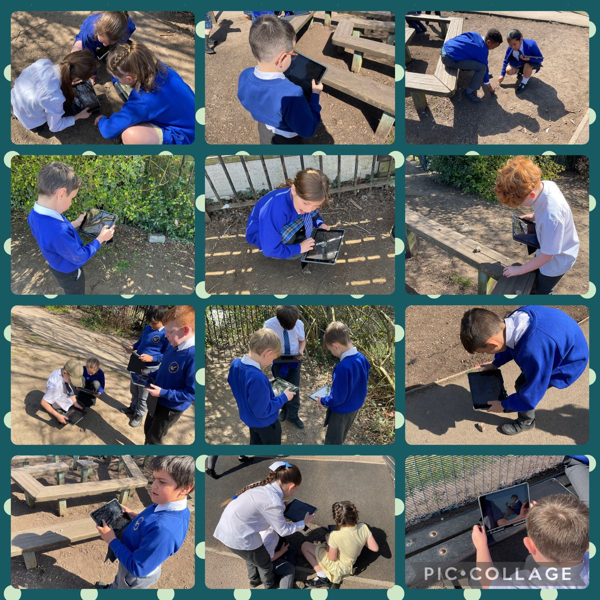 Grierson_kag's tweet image. Super use of iPads today! We used #AppleKeynote to sort pictures of rocks. We then completed fieldwork and collected photos of rocks on the playground. We recorded our findings using #ApplePages! ⭐️ #KingslandDigitalTechnology #KingslandGeography  @bullock_kab @StokeRTC