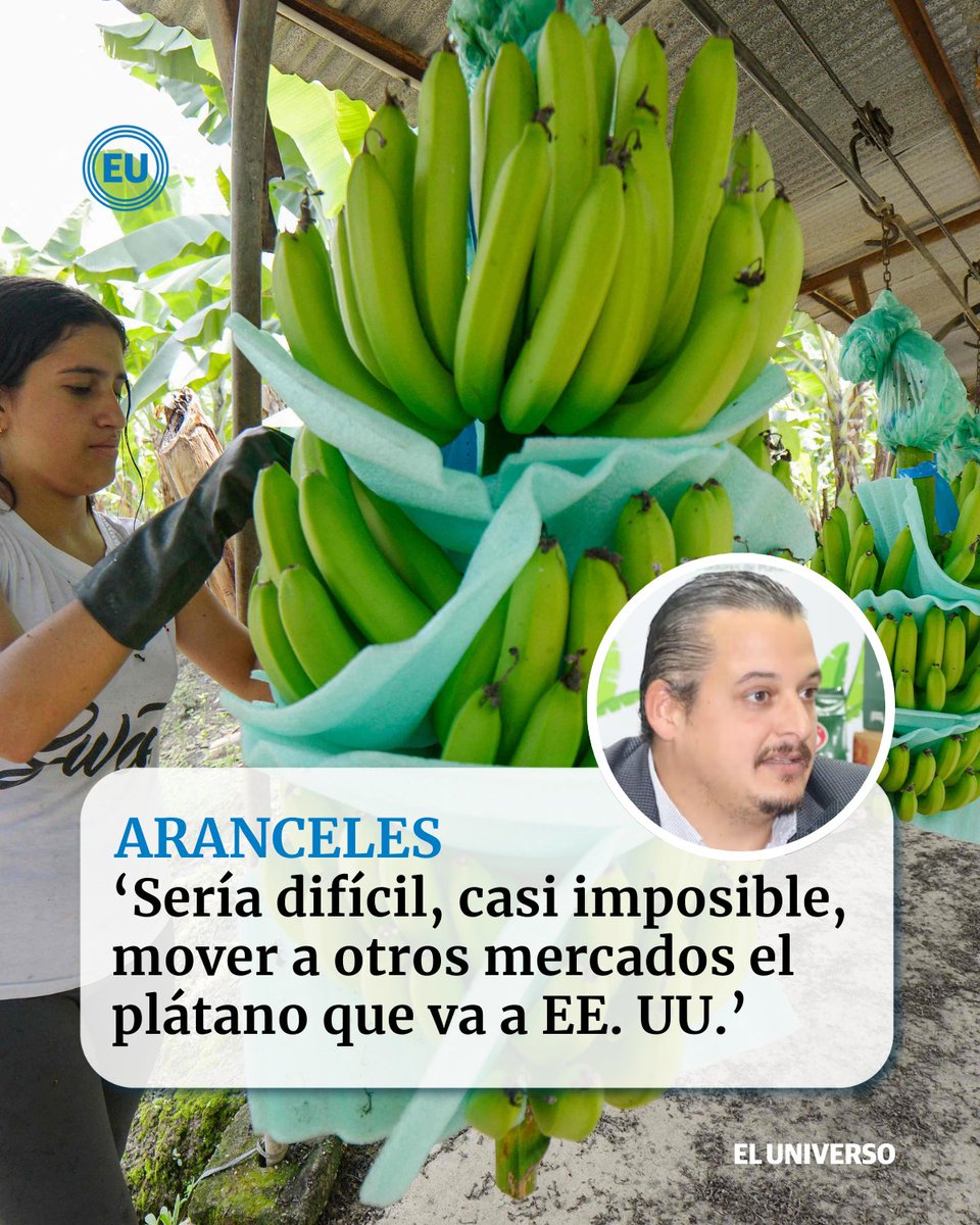 eluniversocom's tweet photo. #Aranceles | EstadosUnidos recepta el 73 % de las exportaciones de #plátano fresco y procesado (chips, snacks y otros) de #Ecuador, que desde el sábado pasado pagan 16 % de arancel https://t.co/HTexvwHeoI https://t.co/I3wO7waoh3