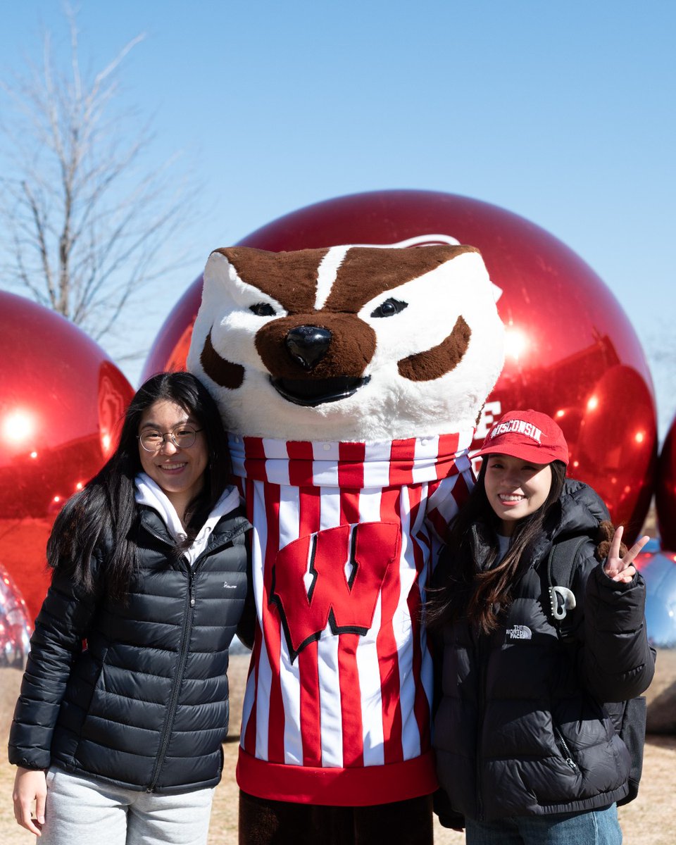 Wisconsin Alumni tweet media