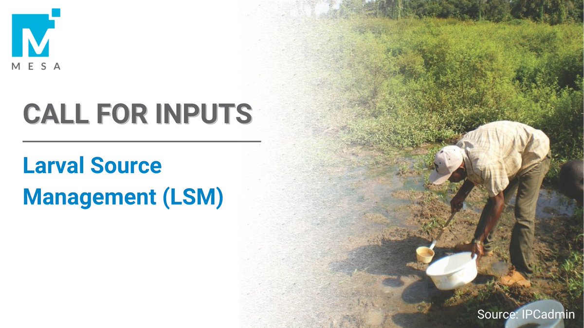 MESAmalaria's tweet photo. 🌿 Larval Source Management (#LSM) is a powerful but underused malaria control tool.

What’s holding it back—access, implementation, financing, evaluation?

📢 We’re calling on researchers, implementers &amp; stakeholders to share LSM projects &amp; insights.

🔗https://t.co/xJwj0y2HH5 https://t.co/4fwc976Tmz