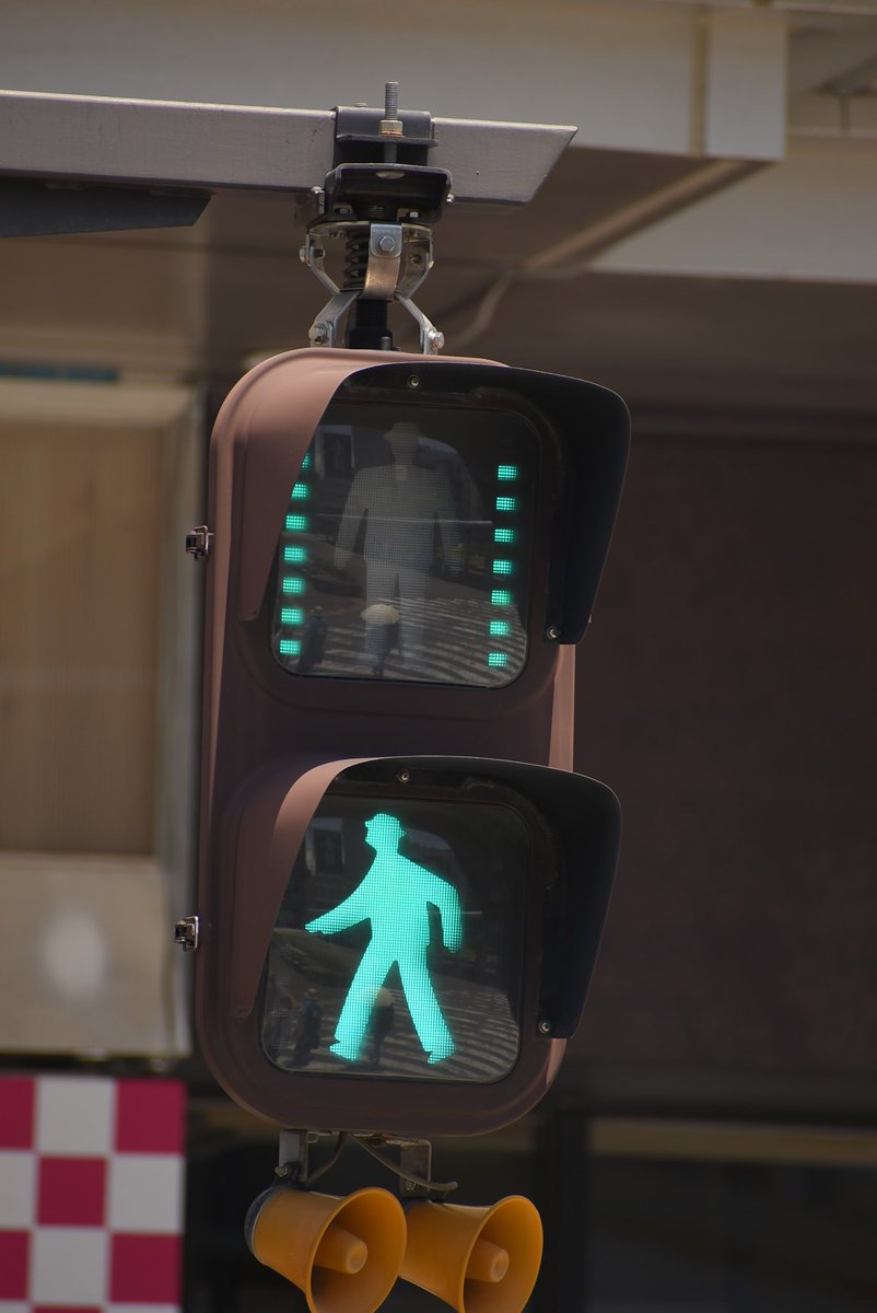 写真がこんなのしかなかった