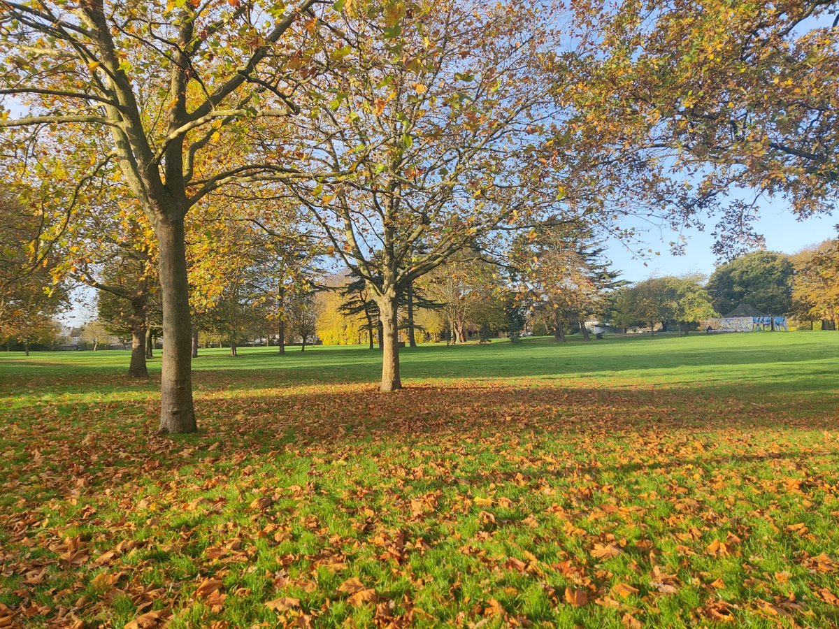 (1/2) We’re thrilled to announce that #AshburtonPark in #Croydon will be restored for its #community, supported by a £1.6m grant made possible by #NationalLottery players 🍃🦋