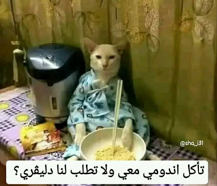 نتزوج وارجع اطبخلك أكل تأكل اصابعك وراه! 
_ انا بعد الزواج:😌👀🏃🏼‍♀️🏃🏼‍♀️