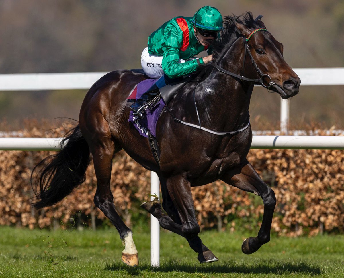 Leopardstown RC (@leopardstownrc) on Twitter photo A 7ยฝ-length victory for <a href="/JohnnyMurtagh/">Johnny Murtagh</a>'s ALAKAZI under <a href="/BenCoen2/">Ben Coen</a> in the <a href="/IrishEBF_/">Irish Stallion Farms</a> Median Auction Maiden for owner-breeder <a href="/AgaKhanStuds/">Aga Khan Studs</a>.
What a beauty! ๐ A 7ยฝ-length victory for <a href="/JohnnyMurtagh/">Johnny Murtagh</a>'s ALAKAZI under <a href="/BenCoen2/">Ben Coen</a> in the <a href="/IrishEBF_/">Irish Stallion Farms</a> Median Auction Maiden for owner-breeder <a href="/AgaKhanStuds/">Aga Khan Studs</a>.
What a beauty! ๐